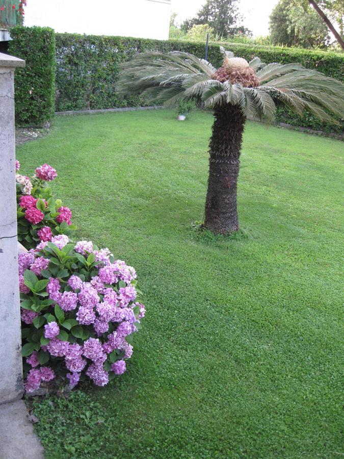 Hotel Le Pleiadi San Felice Circeo Εξωτερικό φωτογραφία